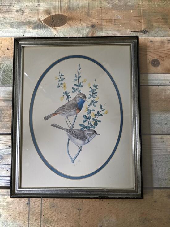Unbranded Other - Vintage Bluebird Bird Print Framed Oval Mat Botanical Floral Cottagecore  Art